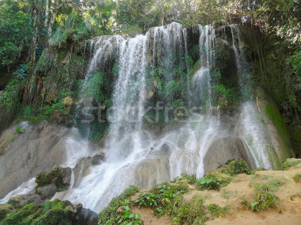 waterfall in Cuba Stock photo © prill