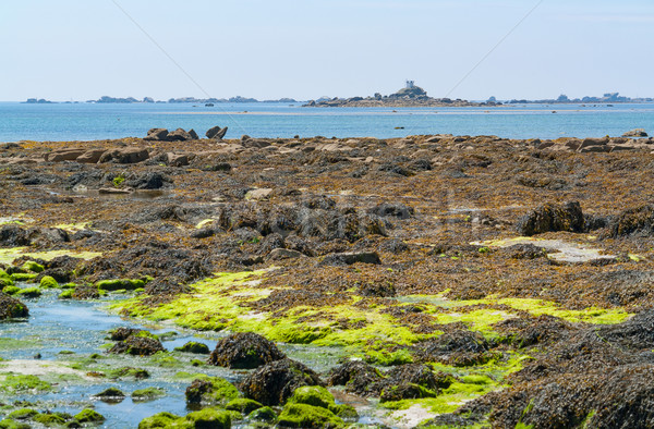 Stock photo: around Penmarch in Brittany