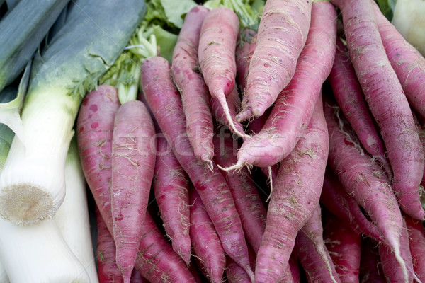 radish and field garlic Stock photo © prill