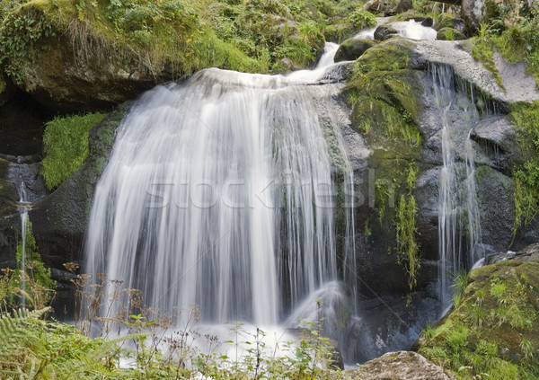 Idyllisch watervallen landschap tonen zwarte bos Stockfoto © prill