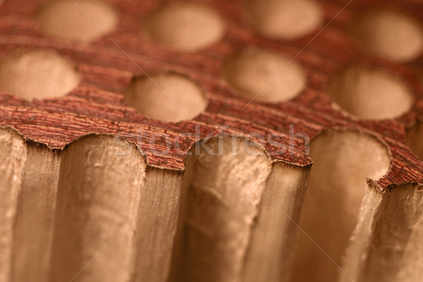 porous wood detail Stock photo © prill