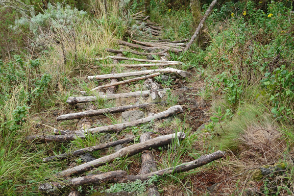 Path to the top of Muhavara Vulcano Stock photo © prill