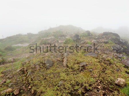 foggy mountain top Stock photo © prill