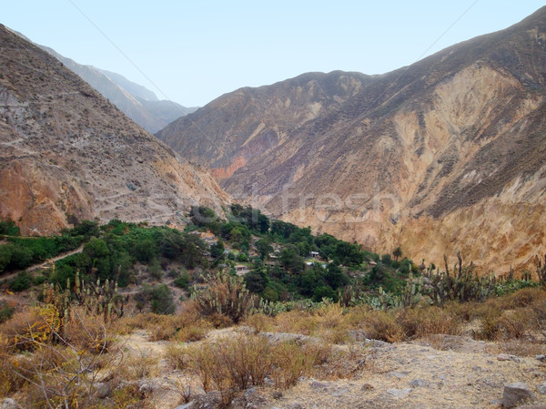 Colca Canyon Stock photo © prill