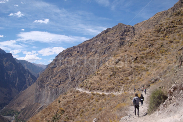 Kanyon manzara Peru güney amerika doğa yeşil Stok fotoğraf © prill