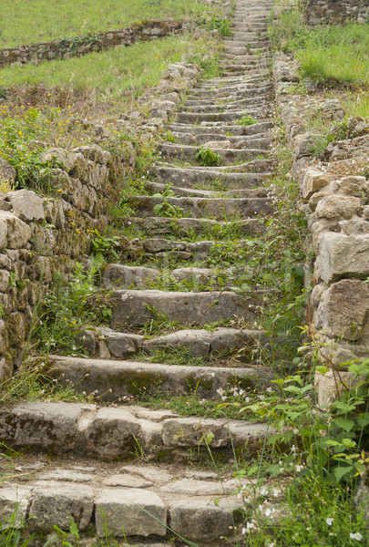 stairs at Saint-Michel tumulus Stock photo © prill