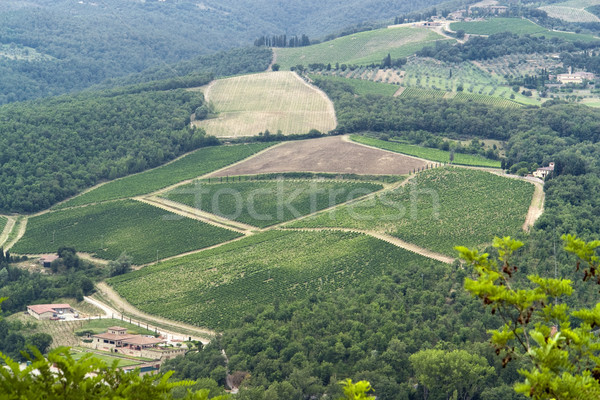 Toskana manzara panoramik manzara bölge İtalya Stok fotoğraf © prill