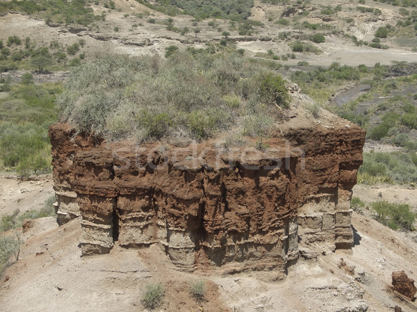 Olduvai Gorge detail Stock photo © prill