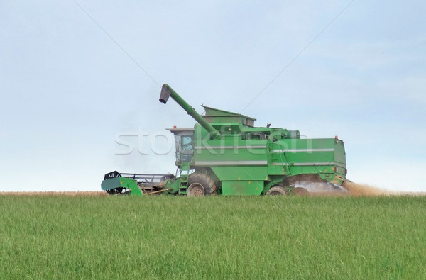 harvesting harvester on a crop field Stock photo © prill