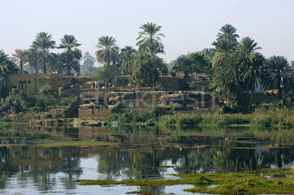 Fiume scenario luxor rurale Egitto africa Foto d'archivio © prill