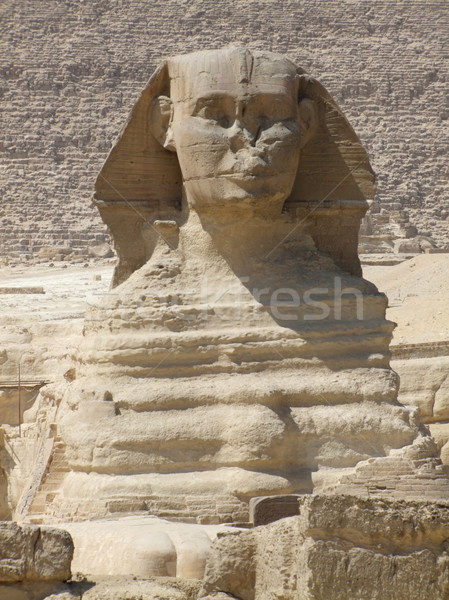 Retrato cenário em torno de giza Egito tiro Foto stock © prill