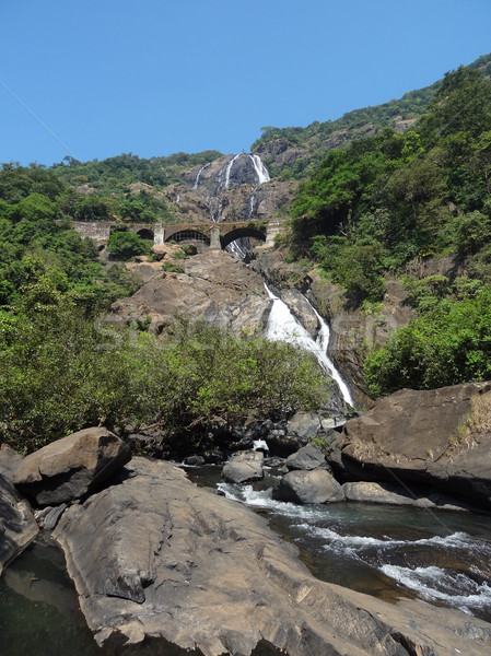 Bhagwan Mahaveer Sanctuary and Mollem National Park Stock photo © prill