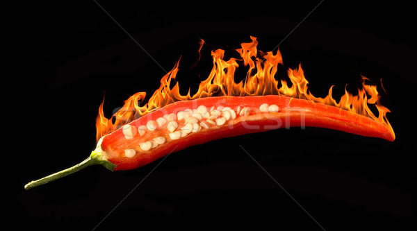 hot chili Stock photo © prill