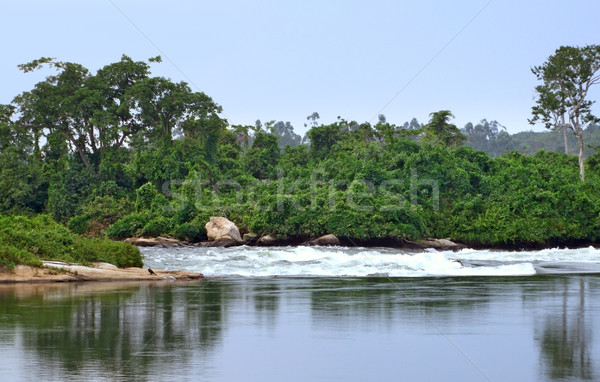 Victoria Nile Stock photo © prill