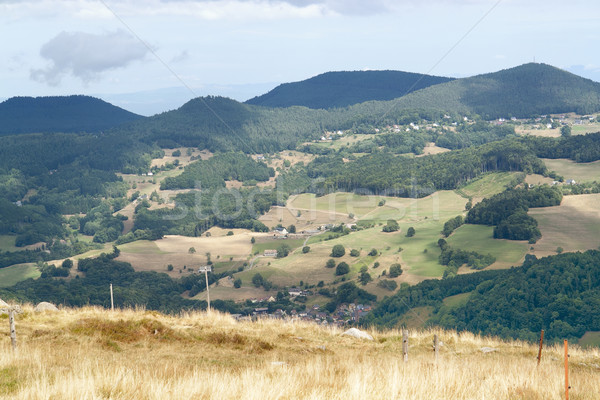 Vosges scenery Stock photo © prill