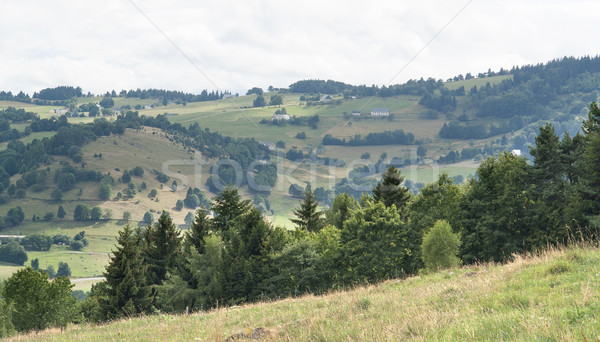 Vosges scenery Stock photo © prill