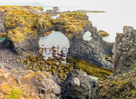 Wybrzeża dekoracje Islandia plaży krajobraz Zdjęcia stock © prill