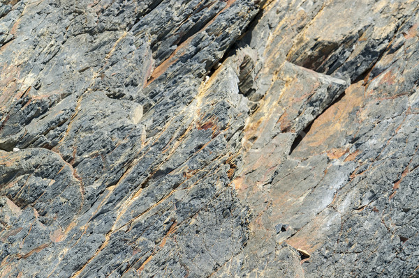 Kamień struktury szczegół full frame streszczenie wybrzeża Zdjęcia stock © prill