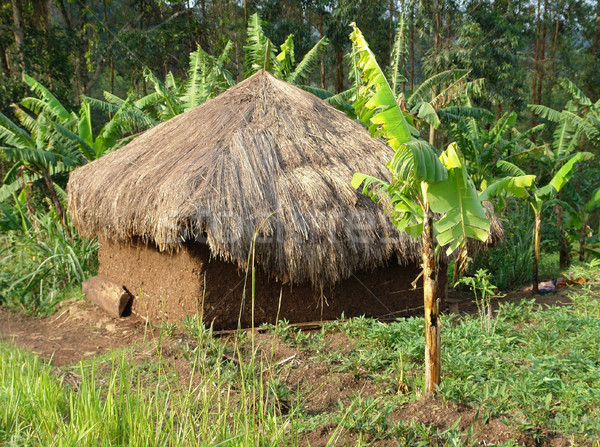 Pequeno montanhas pormenor tradicional aldeia Uganda Foto stock © prill
