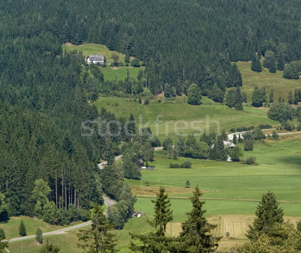 Black Forest aerial view Stock photo © prill