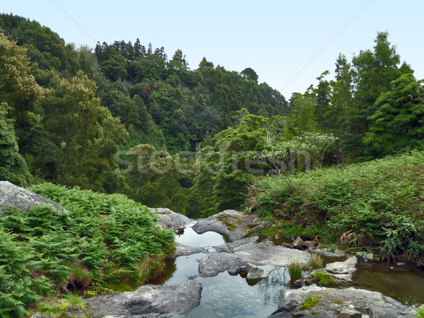 idyllic natural scenery Stock photo © prill