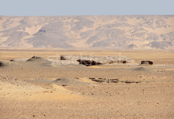 Herum Wüste Landschaft Oase Ägypten Stock foto © prill