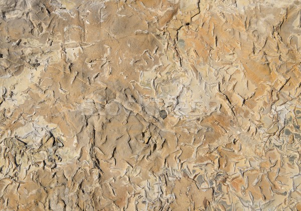 stone surface Stock photo © prill