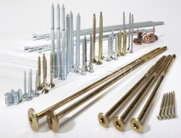 lots of screws Stock photo © prill
