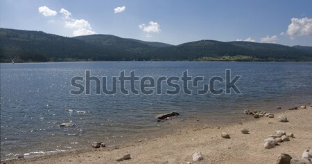 Schluchsee waterside scenery Stock photo © prill