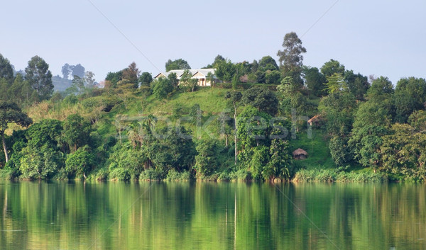 Stock photo: waterside scenery near Rwenzori Mountains in Africa