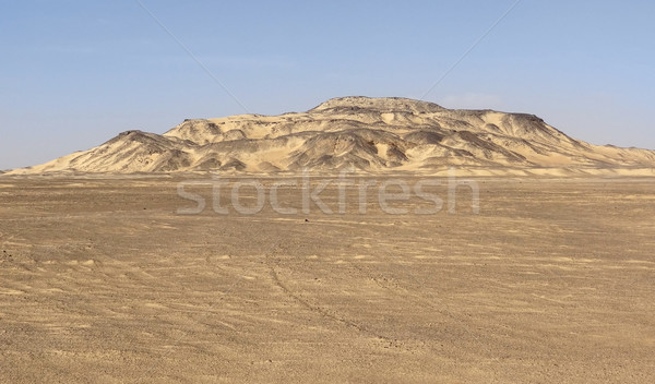 Pustyni Egipt krajobraz górskich piasku kamień Zdjęcia stock © prill