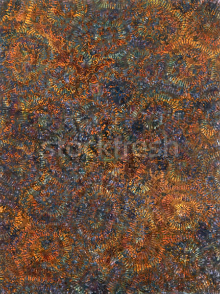 Kolorowy korozja full frame wielobarwny ciemne rdzy Zdjęcia stock © prill