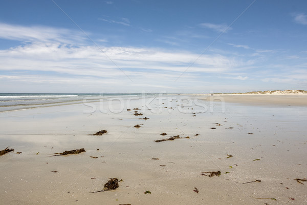 sunny beach in Brittany Stock photo © prill