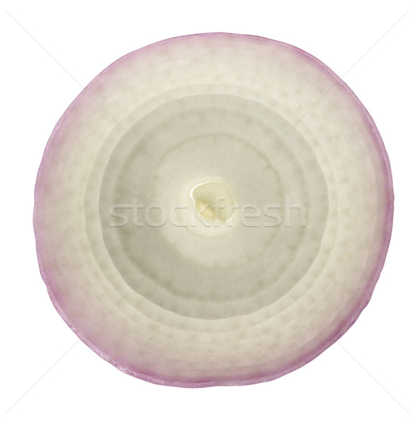 sliced onion Stock photo © prill