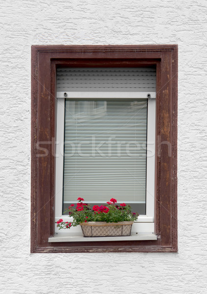 window and flower pot Stock photo © prill