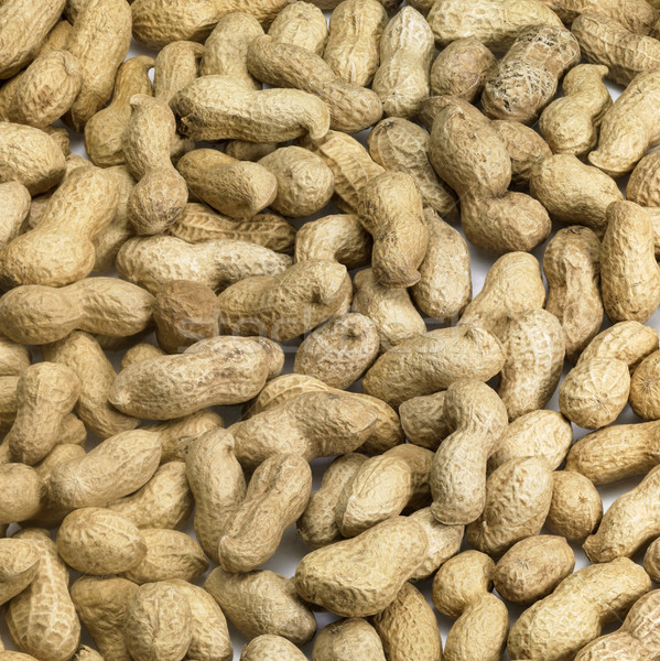 unpeeled peanuts Stock photo © prill
