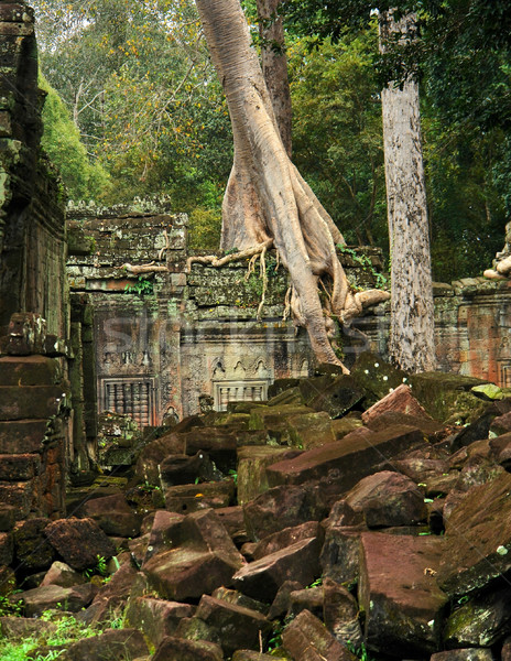 Ta Prohm Stock photo © prill