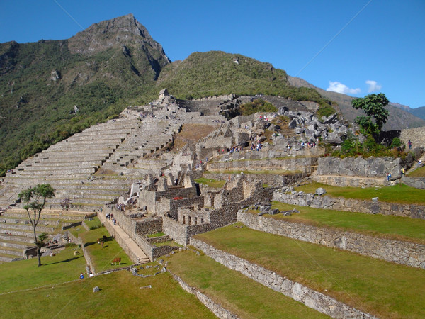 Machu Picchu Stock photo © prill