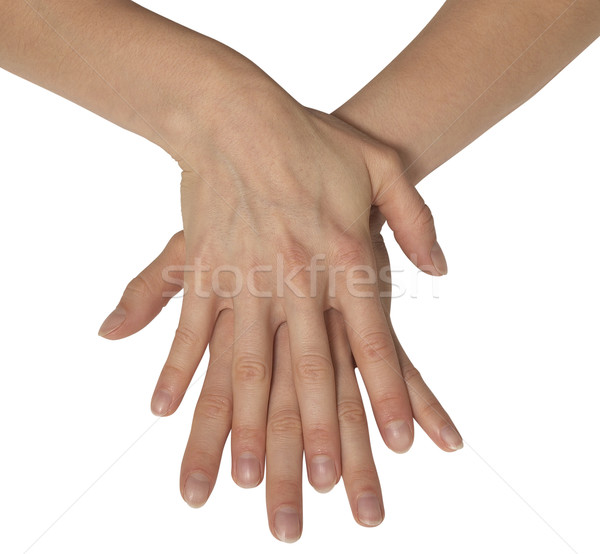 Stock photo: two feminine hands
