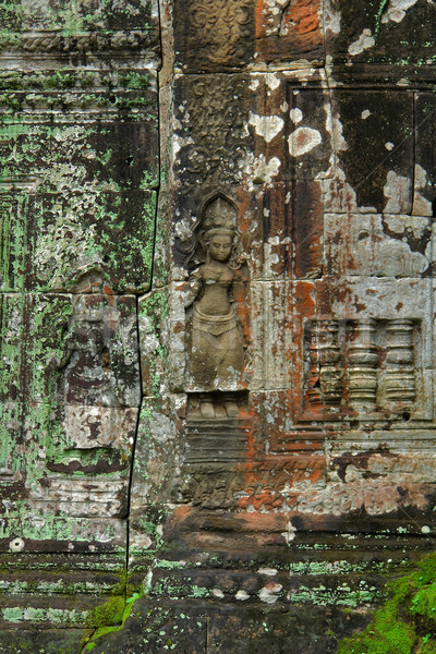 Mystiker Tempel Detail Angkor Baum Gebäude Stock foto © prill