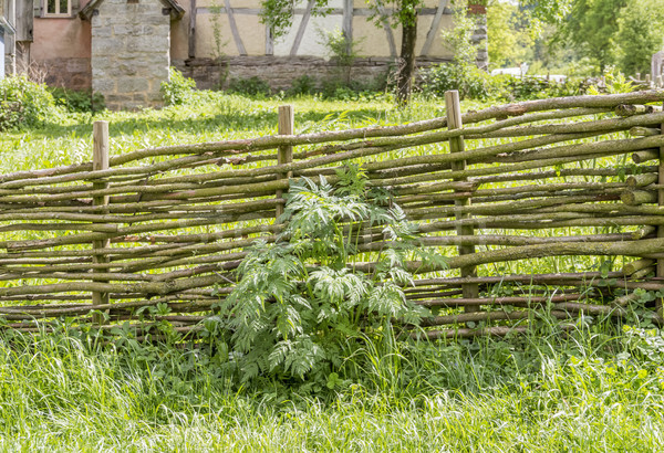 rural scenery with barn Stock photo © prill