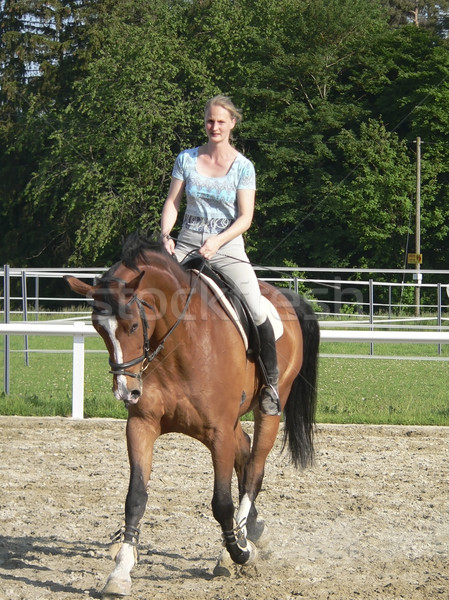 girl while horse riding Stock photo © prill