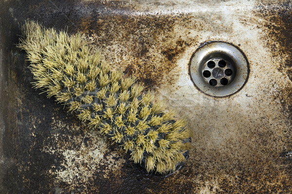 old sink with scrupper Stock photo © prill