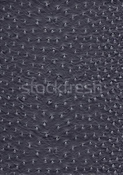 Devekuşu deri yüzey tam kare soyut siyah Stok fotoğraf © prill