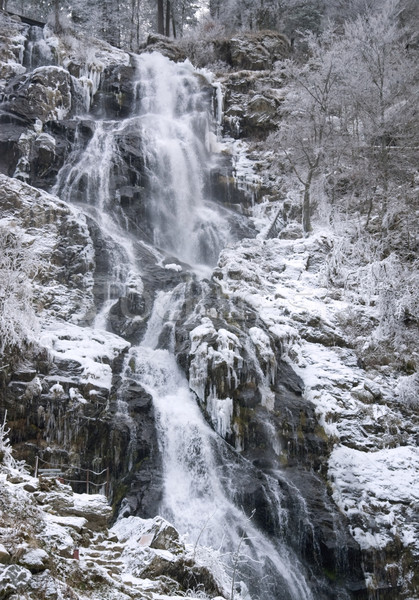 Todtnau Waterfall in Germany Stock photo © prill