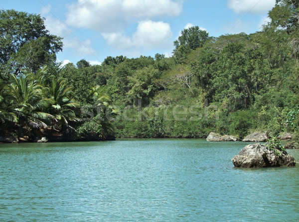 Dominican Republic waterside scenery Stock photo © prill