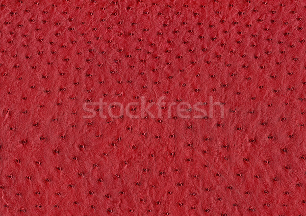 Devekuşu deri yüzey tam kare soyut kırmızı Stok fotoğraf © prill