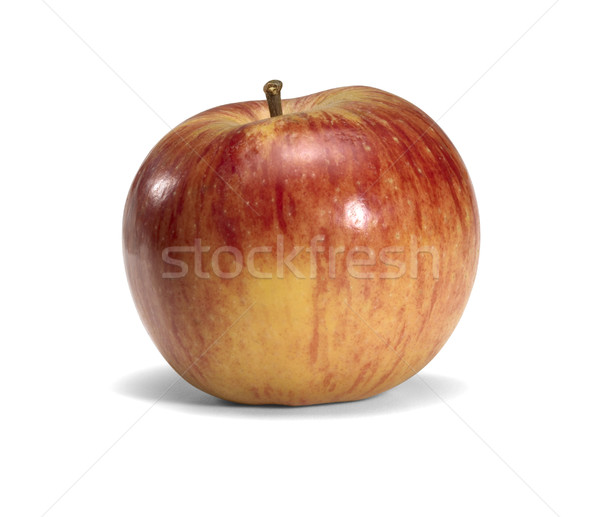 perfect apple Stock photo © prill