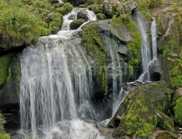 idyllic Triberg Waterfalls Stock photo © prill