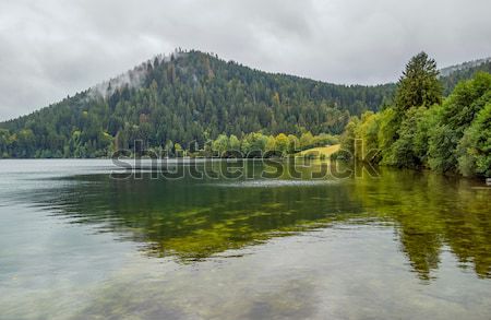 Schluchsee waterside scenery Stock photo © prill